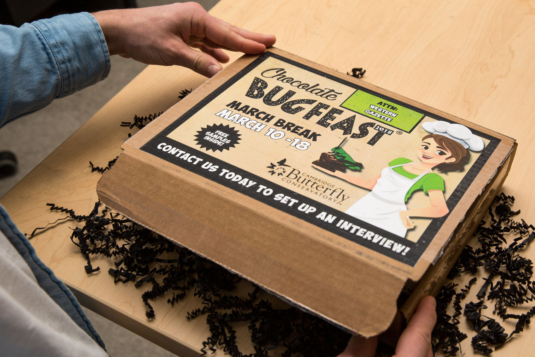 Crickets Ed-Board (Photo)